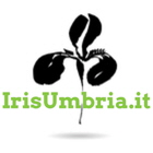 irisUmbria logo green text 140px