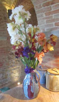 A vase of our irises